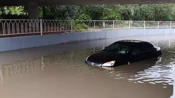 阳江男子驾车开进水里，直接抱宠物离开，车损过万保险还不赔！